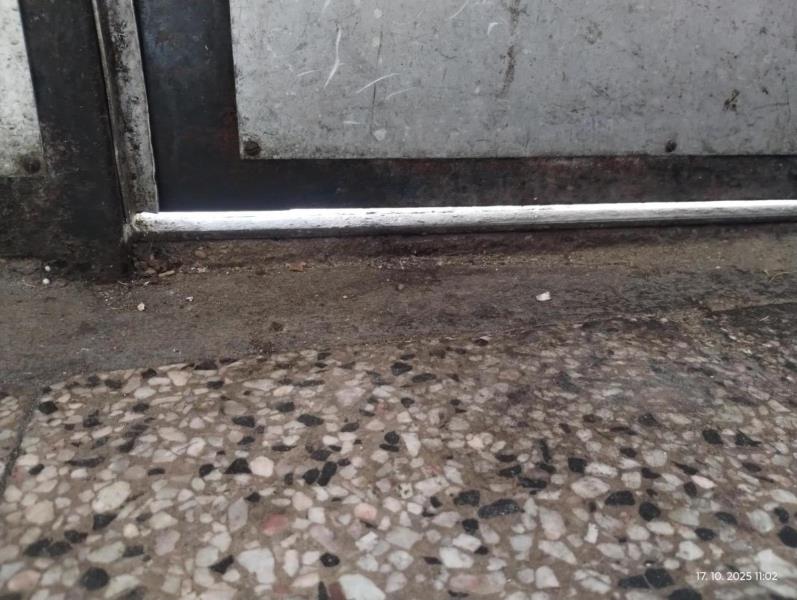 Ilustrační fotografie č. 2