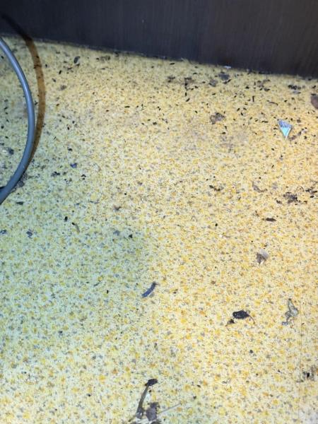 Ilustrační fotografie č. 7