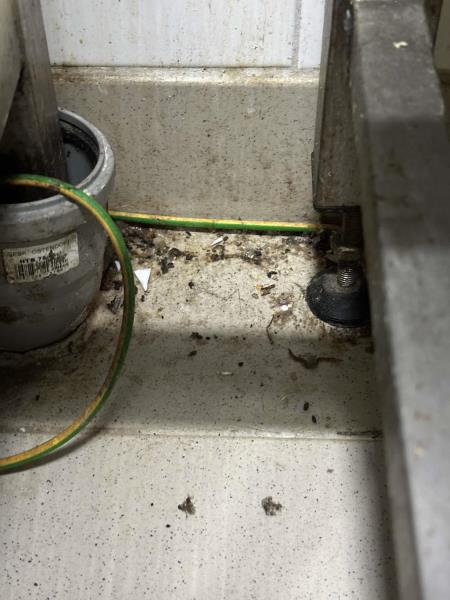 Ilustrační fotografie č. 18