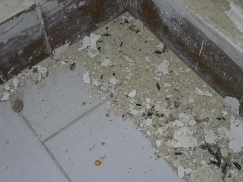 Ilustrační fotografie č. 8