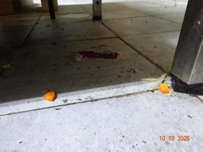 Ilustrační fotografie č. 27