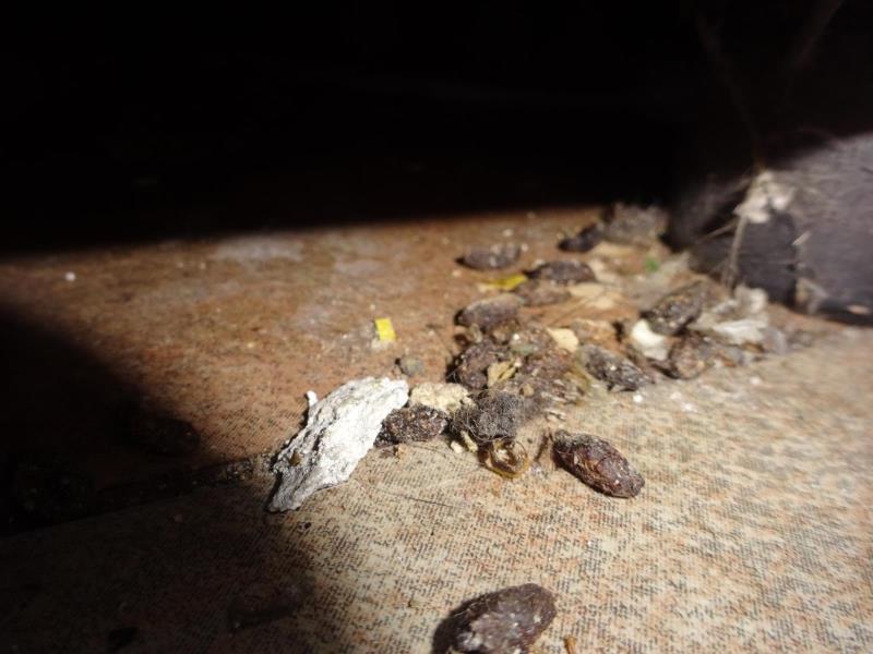 Ilustrační fotografie č. 2