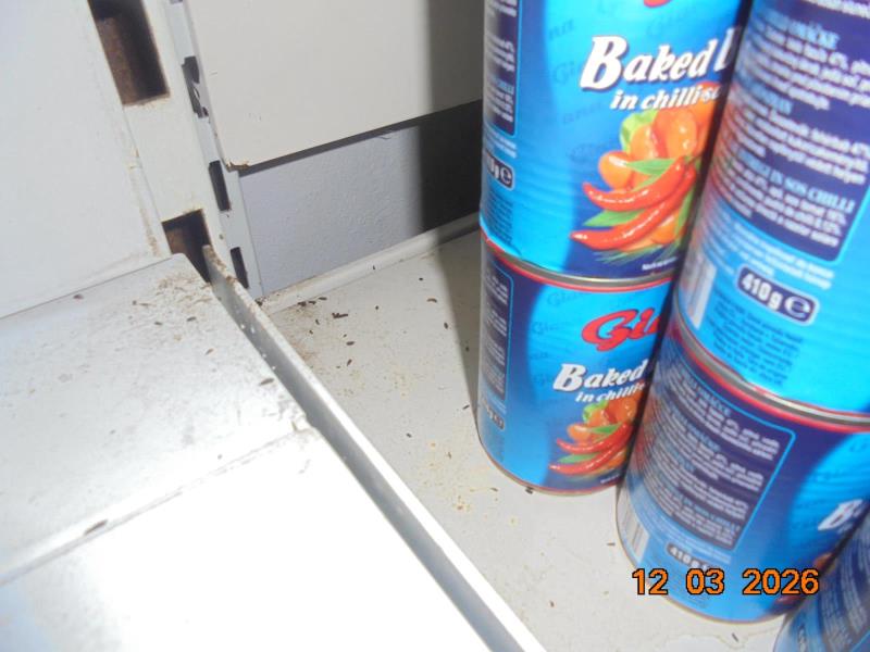 Illustrative photo no. 7