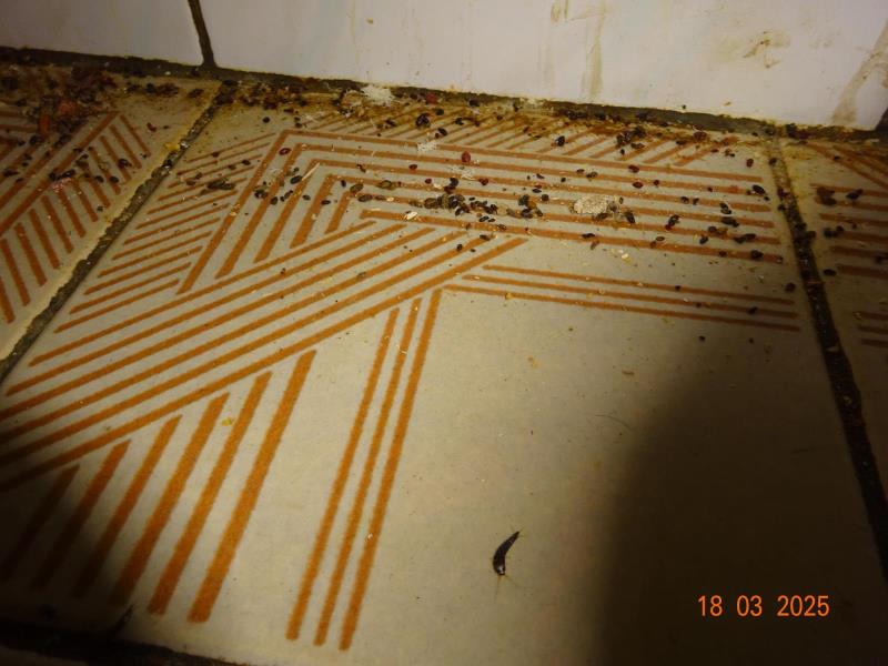 Ilustrační fotografie č. 6