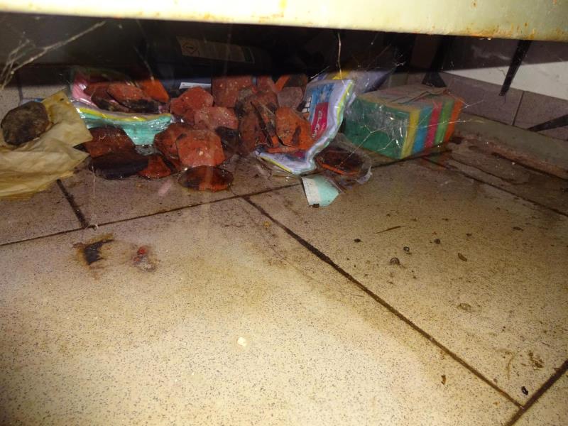 Ilustrační fotografie č. 5