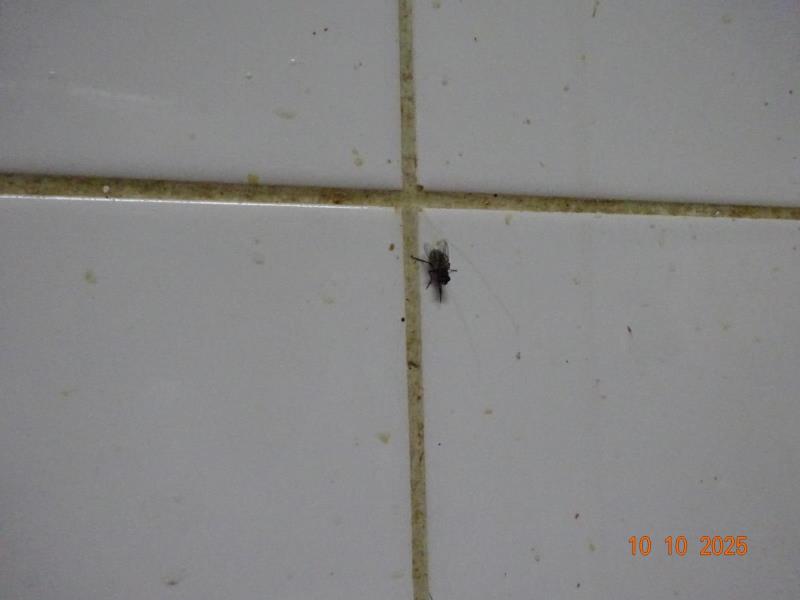 Ilustrační fotografie č. 16