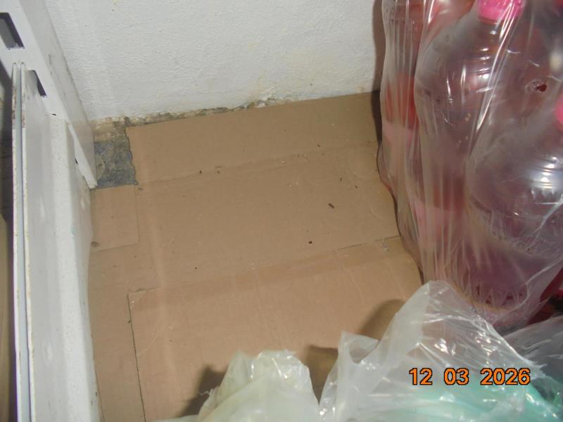 Illustrative photo no. 15