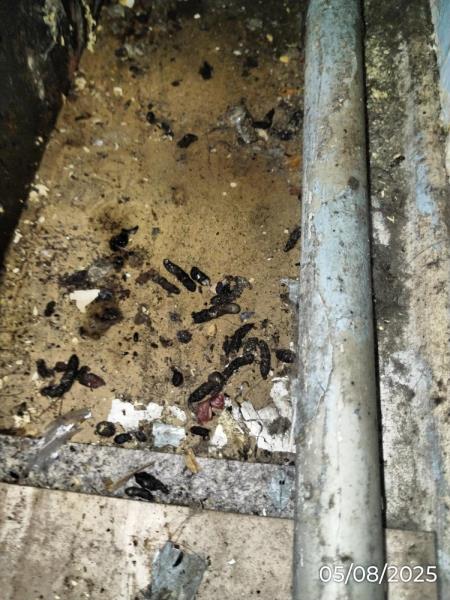 Ilustrační fotografie č. 11