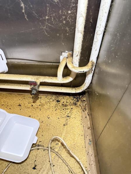 Ilustrační fotografie č. 5