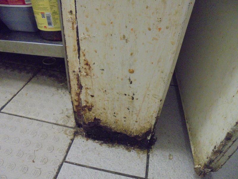 Ilustrační fotografie č. 12