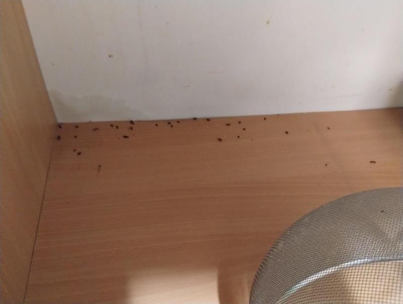 Ilustrační fotografie č. 7