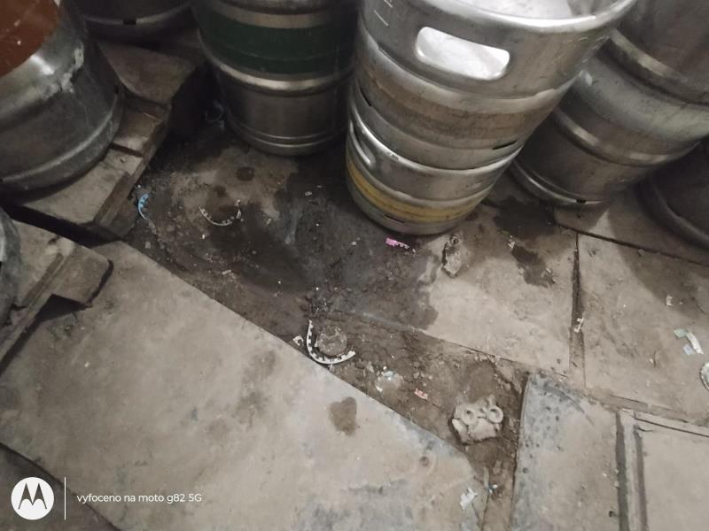 Ilustrační fotografie č. 4