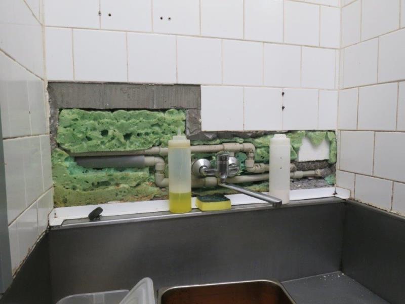 Ilustrační fotografie č. 6