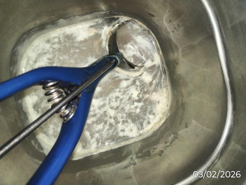 Ilustrační fotografie č. 14