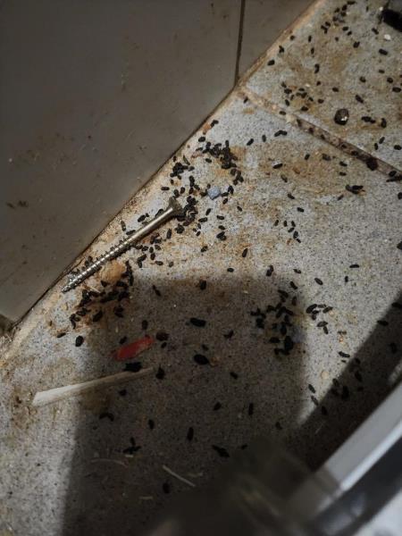 Ilustrační fotografie č. 6