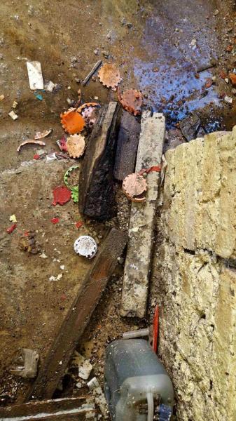 Ilustrační fotografie č. 19