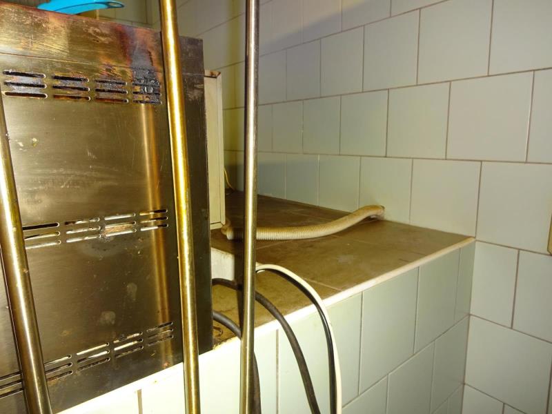 Ilustrační fotografie č. 7