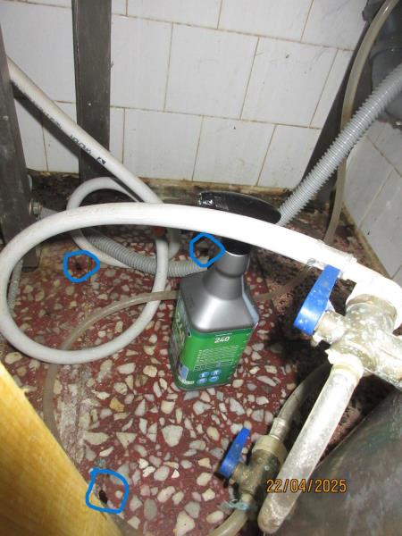 Ilustrační fotografie č. 5