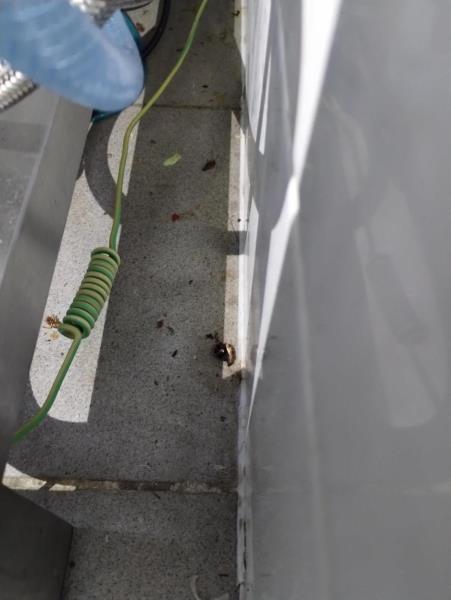 Ilustrační fotografie č. 6