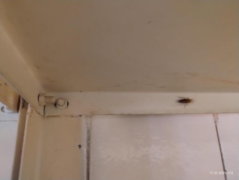 Ilustrační fotografie č. 13