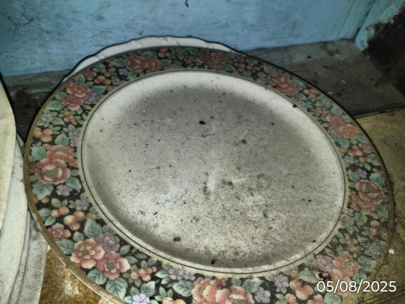 Ilustrační fotografie č. 3