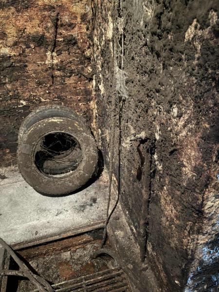 Ilustrační fotografie č. 11