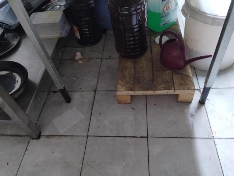 Ilustrační fotografie č. 6