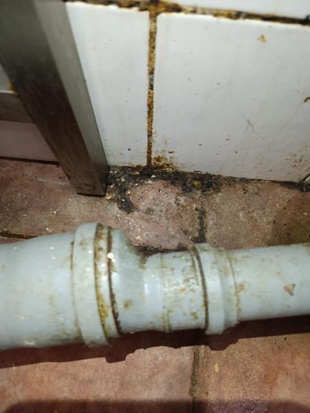 Illustrative photo no. 4