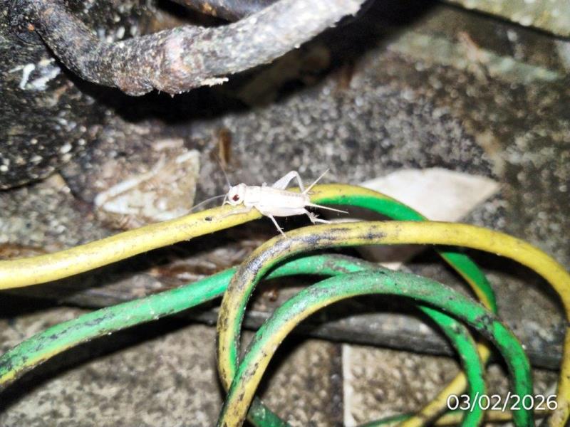 Ilustrační fotografie č. 22