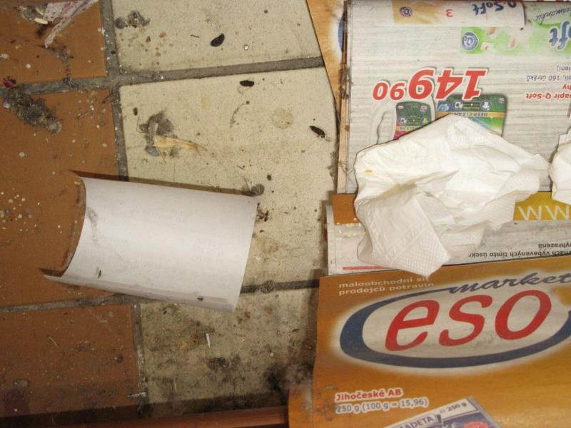 Illustrative photo no. 7