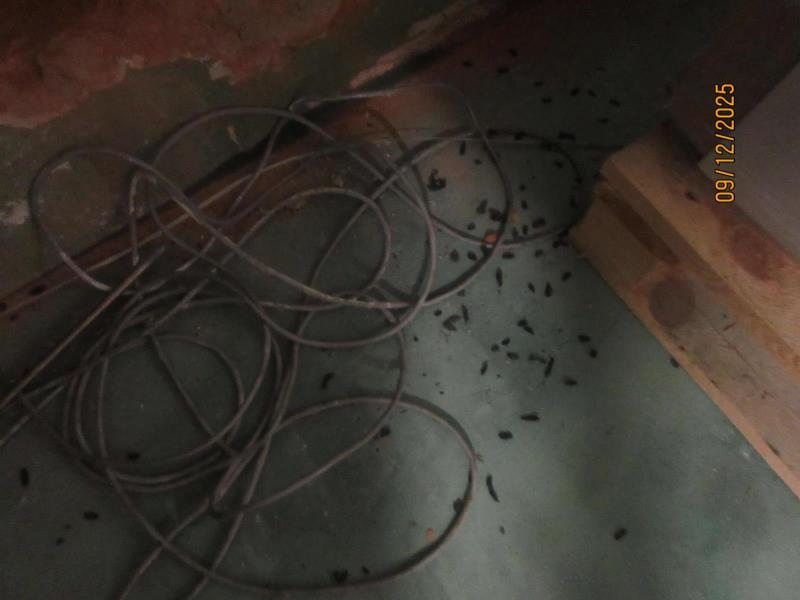 Ilustrační fotografie č. 9