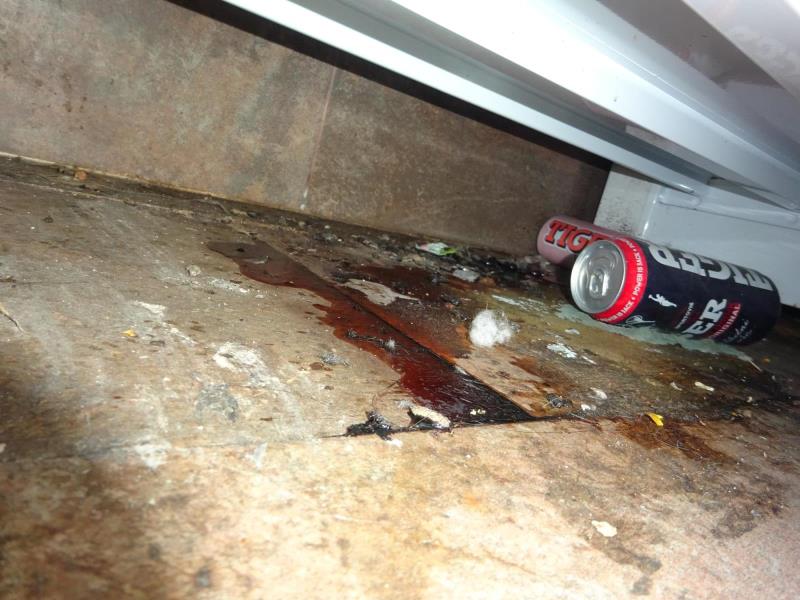 Ilustrační fotografie č. 5