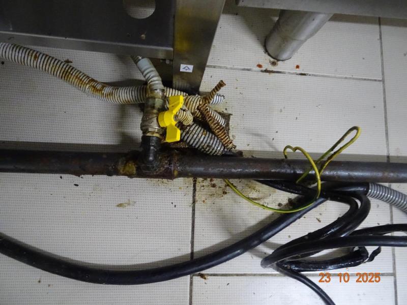 Ilustrační fotografie č. 3