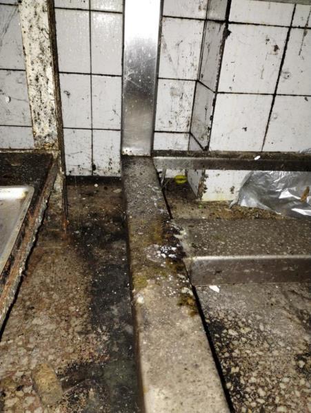 Illustrative photo no. 16