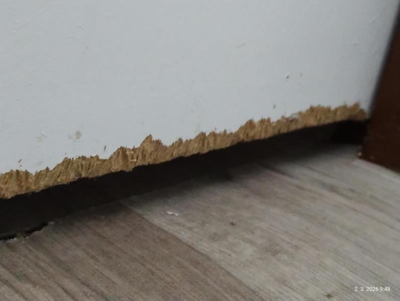 Ilustrační fotografie č. 6