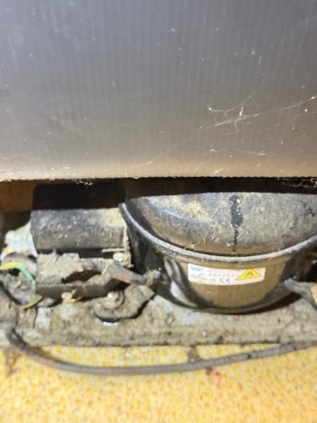 Ilustrační fotografie č. 6