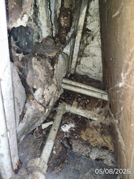 Ilustrační fotografie č. 18