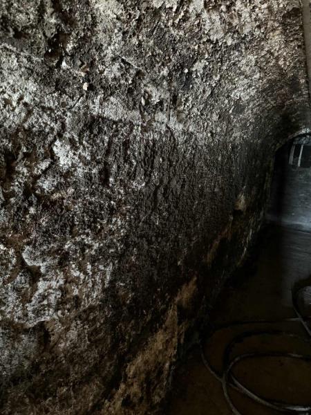 Ilustrační fotografie č. 22