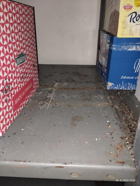 Ilustrační fotografie č. 7