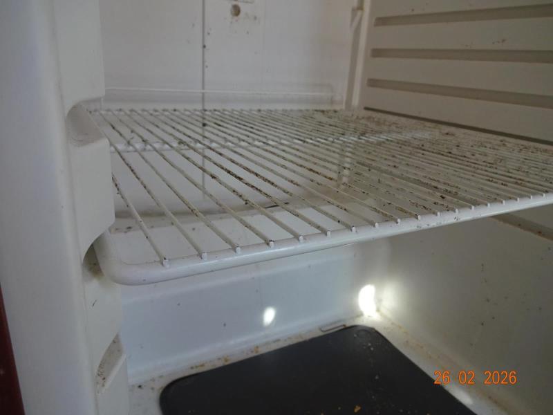 Ilustrační fotografie č. 11