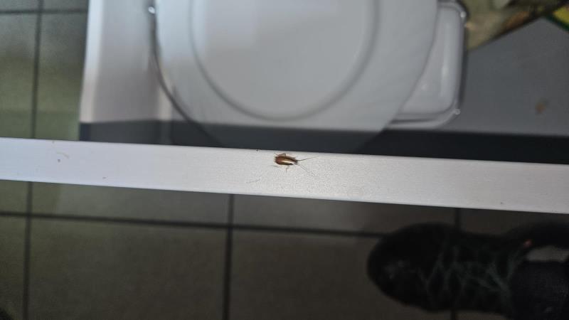 Ilustrační fotografie č. 10