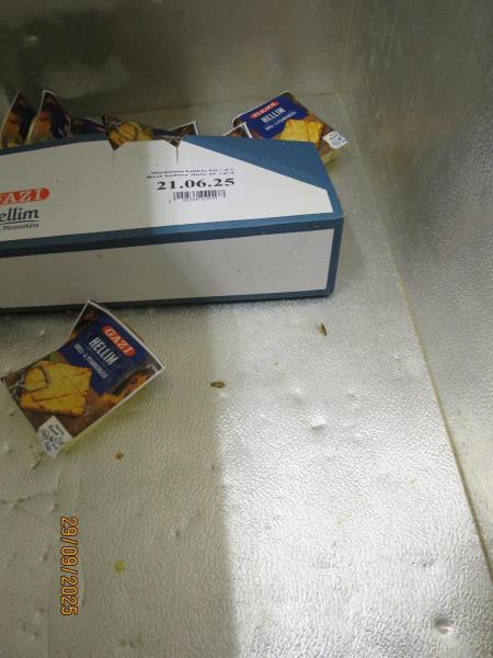 Illustrative photo no. 5