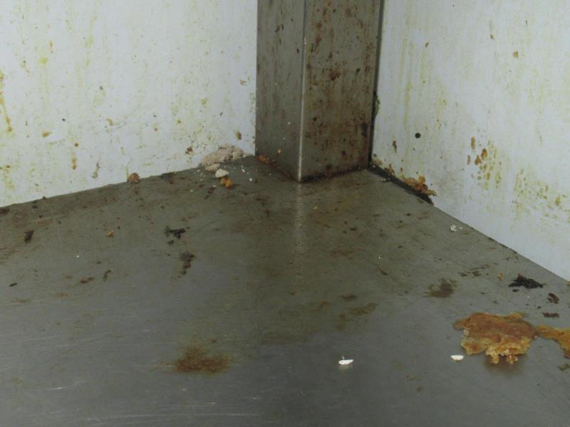 Ilustrační fotografie č. 22