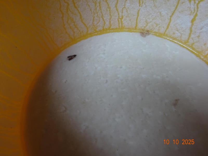 Ilustrační fotografie č. 17