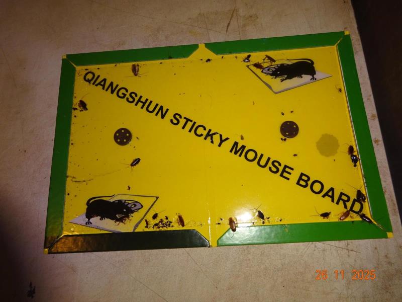 Ilustrační fotografie č. 11