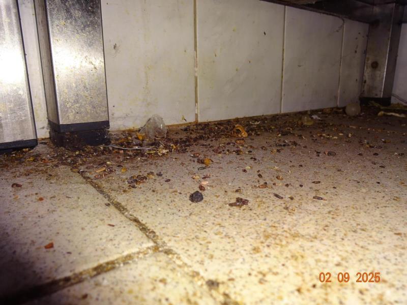 Illustrative photo no. 9