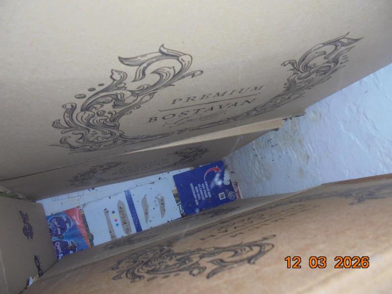 Illustrative photo no. 11