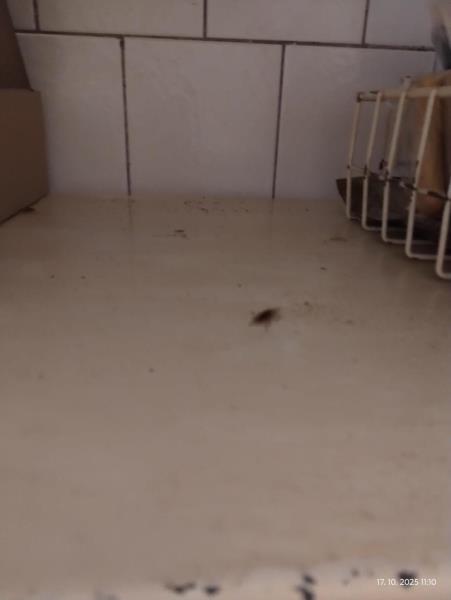 Ilustrační fotografie č. 3