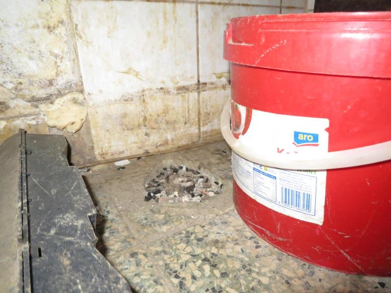 Ilustrační fotografie č. 10