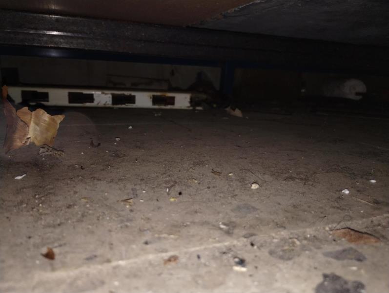 Ilustrační fotografie č. 5